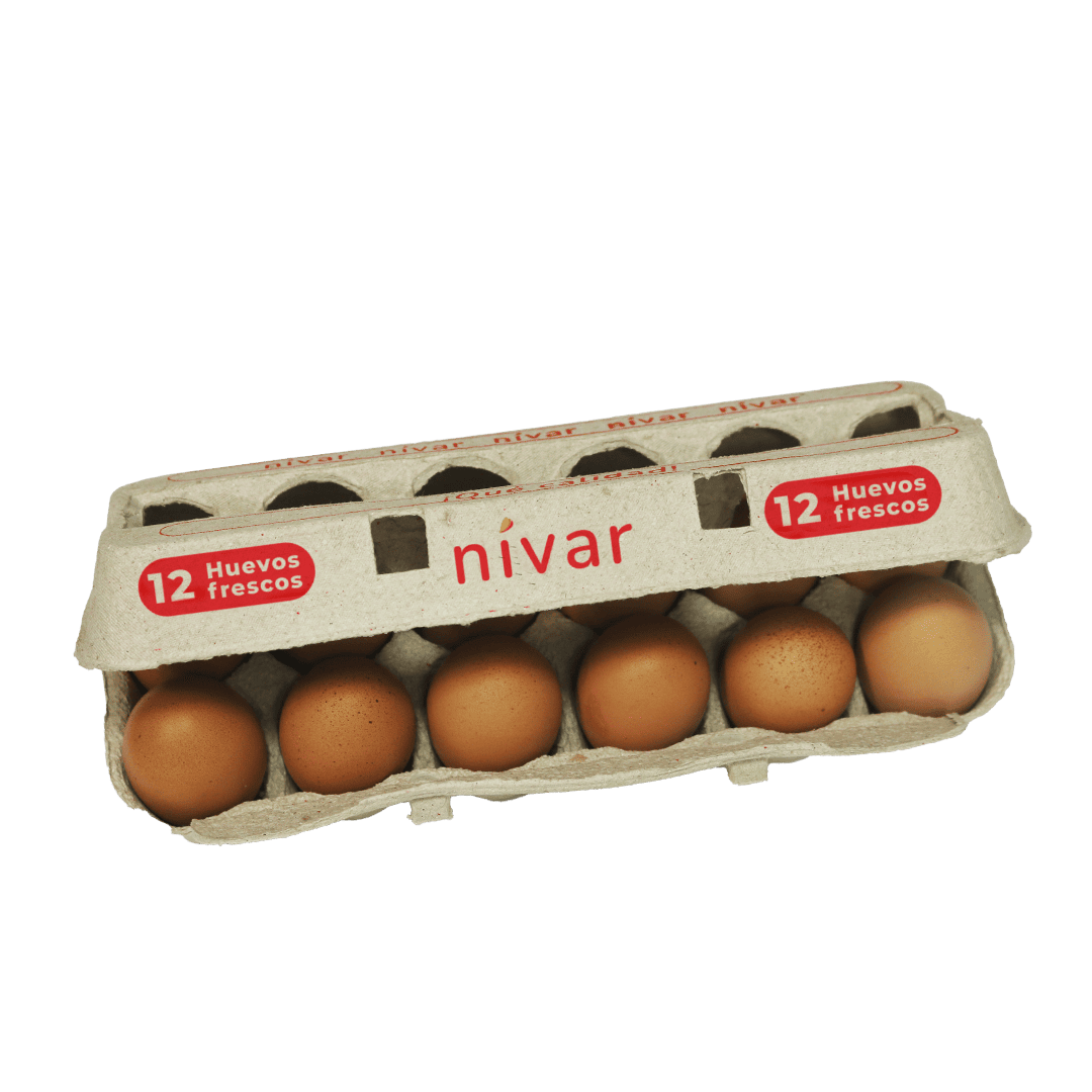 Estuche de 12 unidades